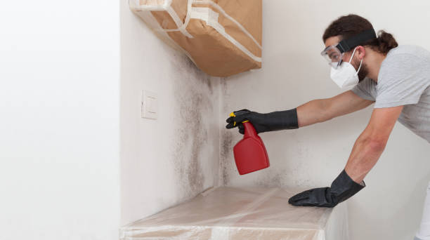 Professional Crawl Space Mold Remediation technician working in Hillsborough, NJ