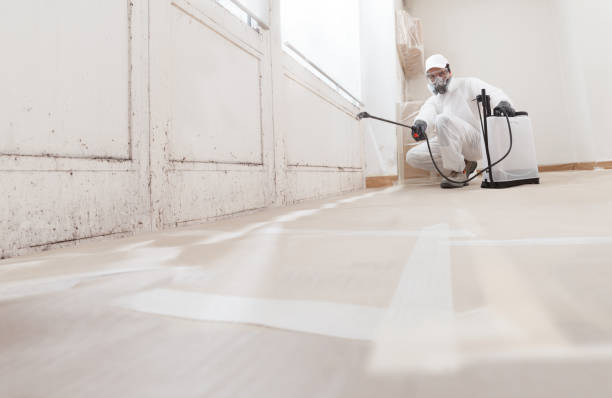 24/7 Emergency Crawl Space Mold Remediation experts in Hillsborough, NJ